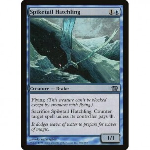 Spiketail Hatchling