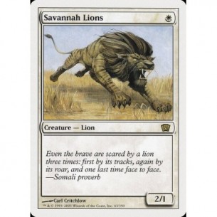 Leoni della Savana