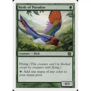 Uccelli del Paradiso