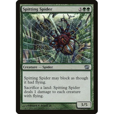 Spitting Spider