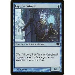 Fugitive Wizard