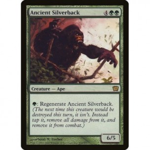 Ancient Silverback