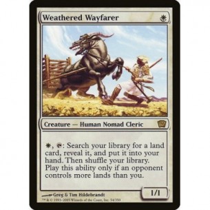 Weathered Wayfarer