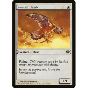 Suntail Hawk