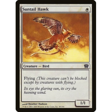 Suntail Hawk