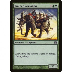Trained Armodon