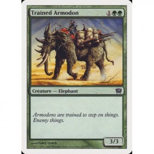 Armodonte Addestrato