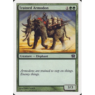 Armodonte Addestrato
