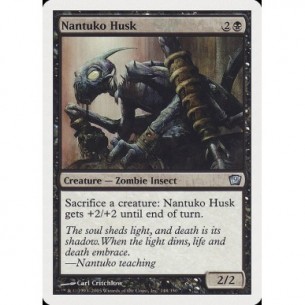 Guscio Nantuko