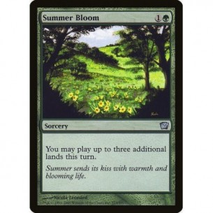 Summer Bloom