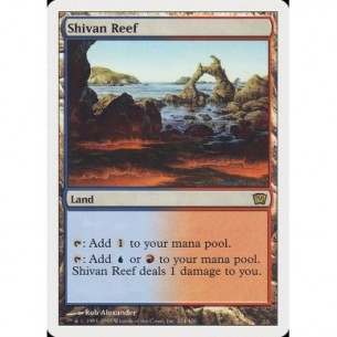 Barriera di Shiv