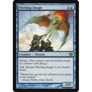 Fleeting Image
