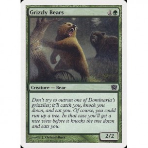 Orso Grizzly