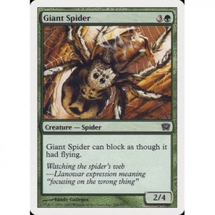 Ragno Gigante