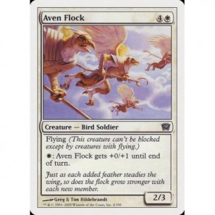 Stormo di Aviani