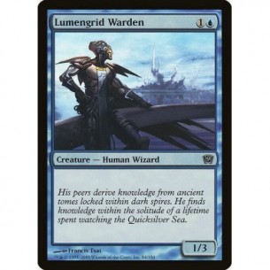 Lumengrid Warden