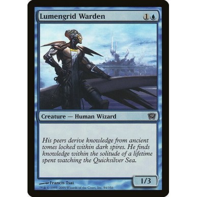 Lumengrid Warden