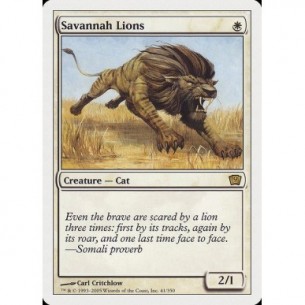 Leoni della Savana