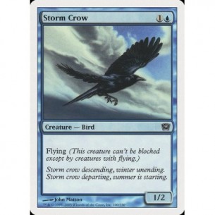 Corvo delle Tempeste