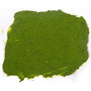 AK Wargame Terrain - Plague Ground (100ml) - AK1217 2