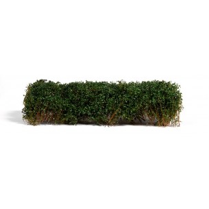 AK Diorama - Summer Dark Green Shrubberies - AK8168 2