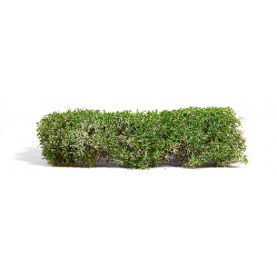 AK Diorama - Blomming White Shrubberies - AK8174 2