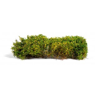 AK Diorama - Blomming Yellow Shrubberies - AK8175 2