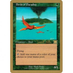 Birds of Paradise