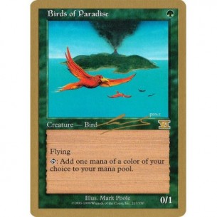 Birds of Paradise