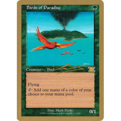 Birds of Paradise