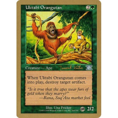 Uktabi Orangutan