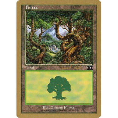 Forest