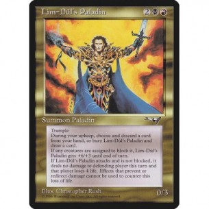 Lim-Dûl's Paladin