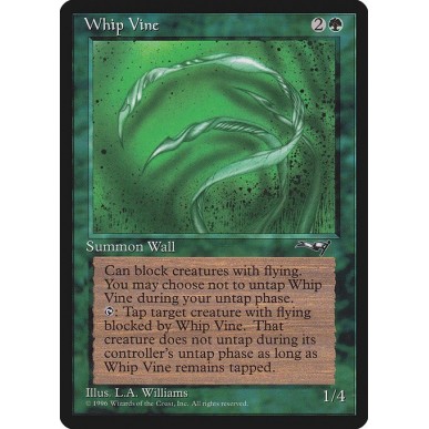 Whip Vine