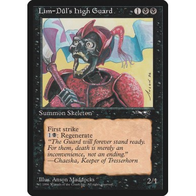 Lim-Dûl's High Guard