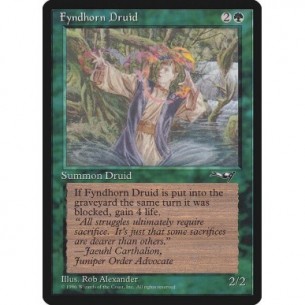 Fyndhorn Druid