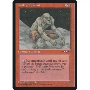 Enslaved Scout