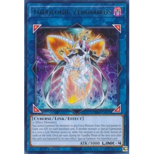 Zeroboros Topologico