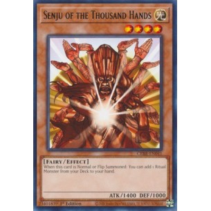 Senju dalle 1000 Mani (V.1...