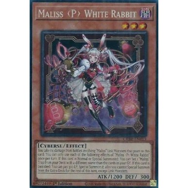 Maliss P Coniglio Bianco (V.3 -...
