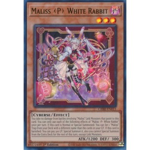 Maliss P Coniglio Bianco...