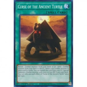 Curse of the Ancient Turtle