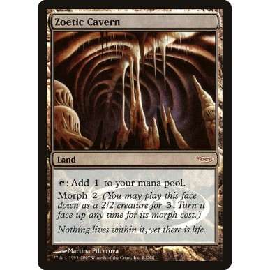 Zoetic Cavern