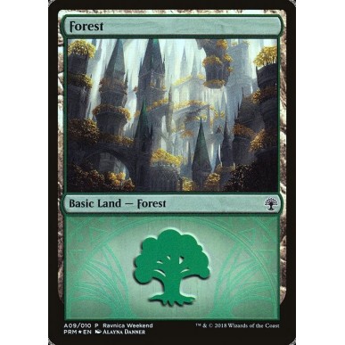 Forest
