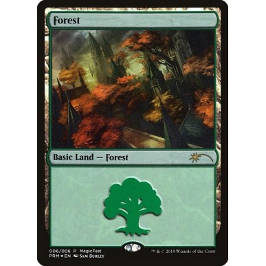 Forest