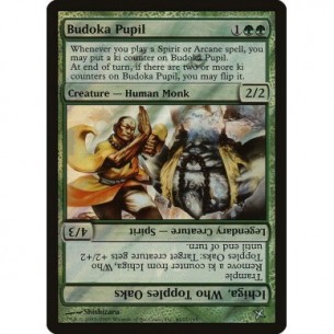 Budoka Pupil // Ichiga, Who...