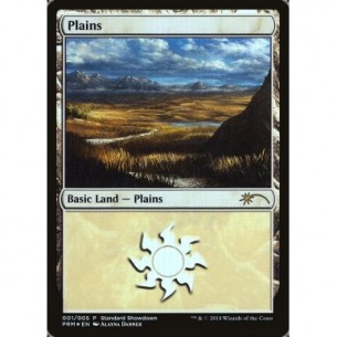 Plains