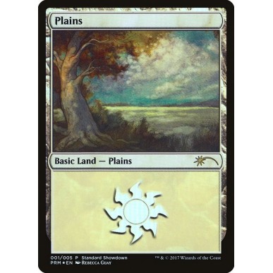 Plains