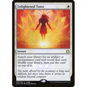 Enlightened Tutor