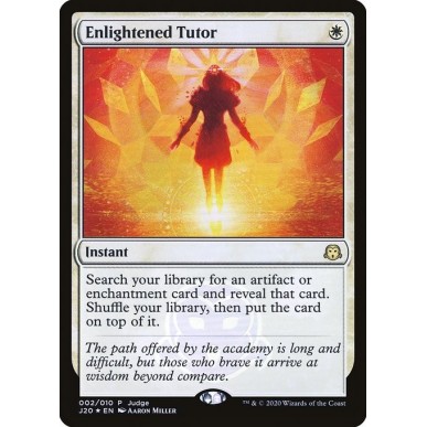 Enlightened Tutor